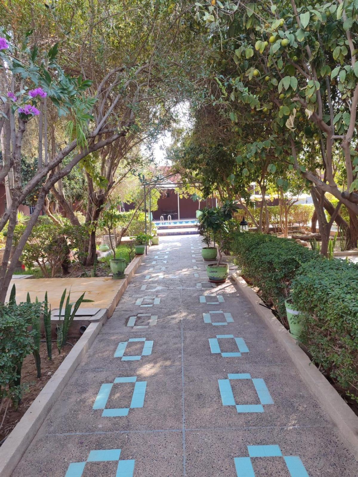Riad Les Jardins Mabrouk تارودانت‎ المظهر الخارجي الصورة