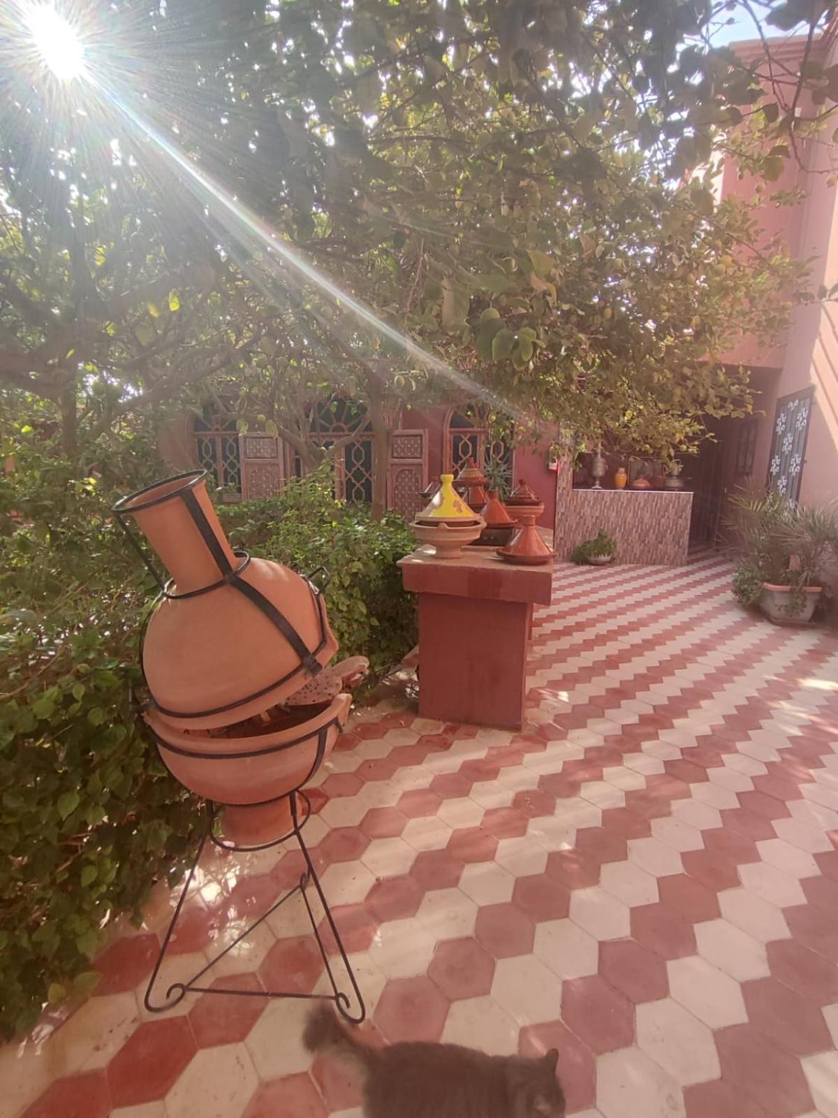 Riad Les Jardins Mabrouk تارودانت‎ المظهر الخارجي الصورة