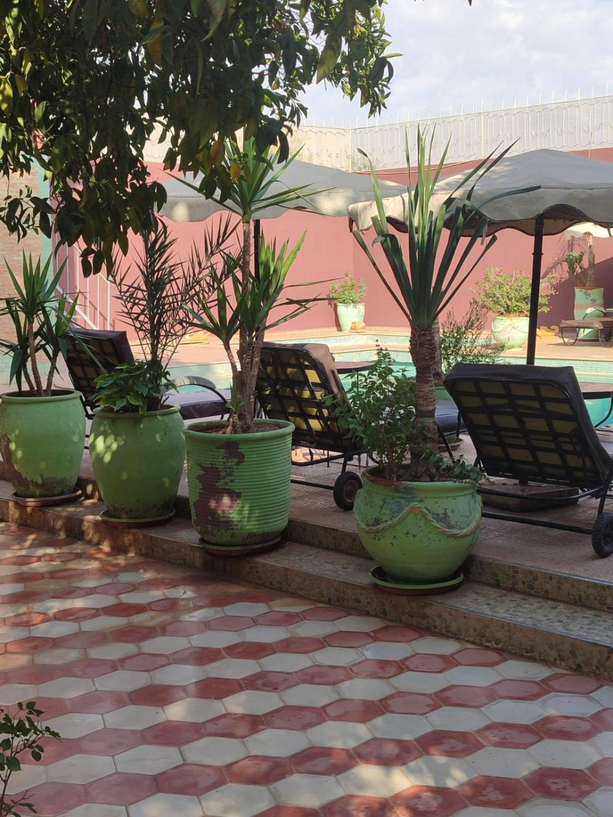 Riad Les Jardins Mabrouk تارودانت‎ المظهر الخارجي الصورة